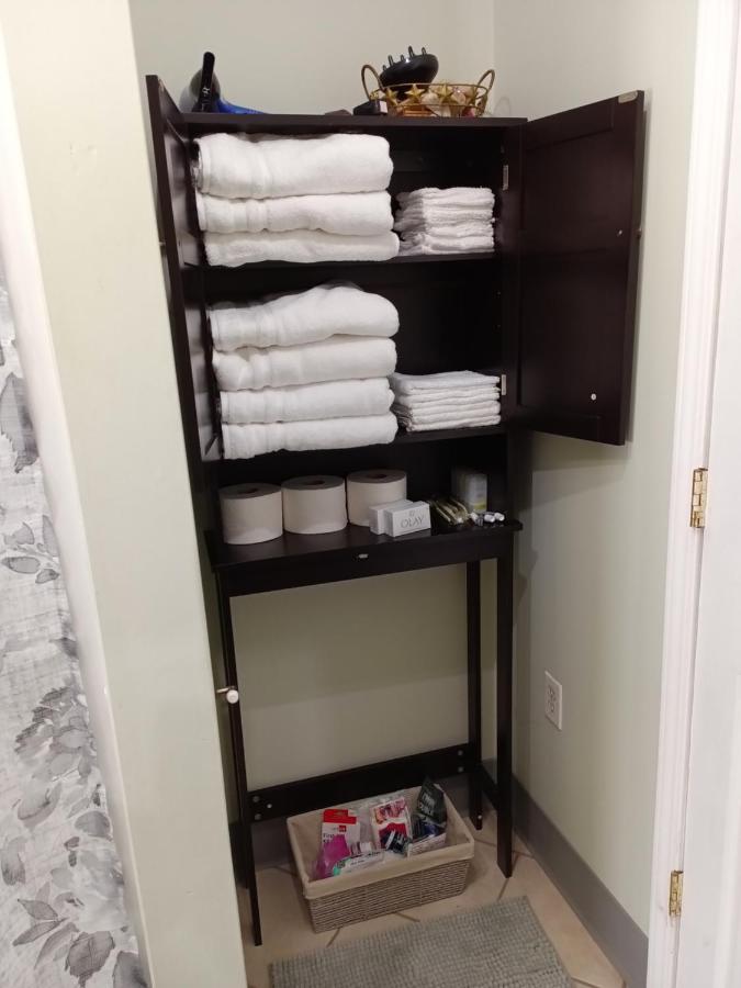 Cozy Updated 3-Br Apartment Near Peace Bridge Buffalo Bagian luar foto